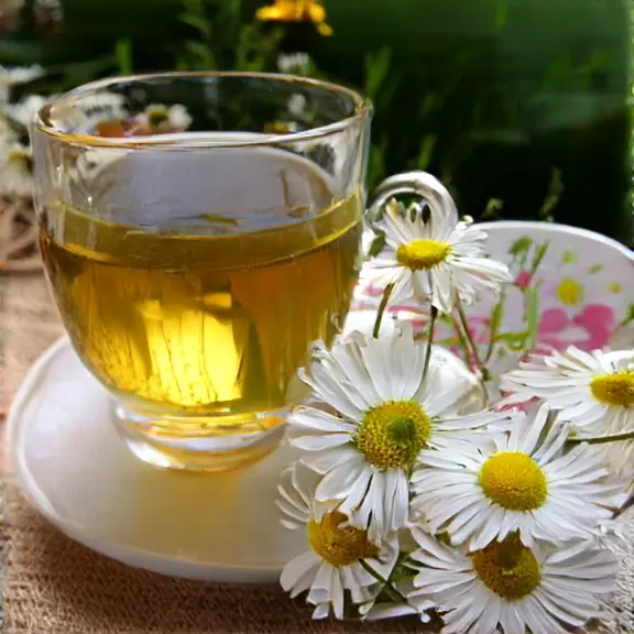 Infusión de manzanilla o boldo