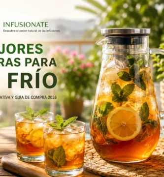 Jarra de cristal con té frío, hielo, limón y menta sobre una mesa de verano.